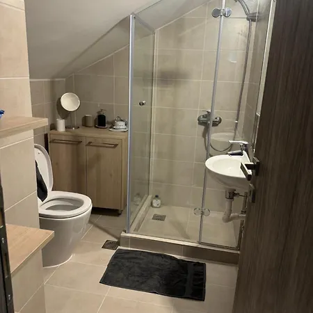 Oikia Athena Apartments-the East Rose